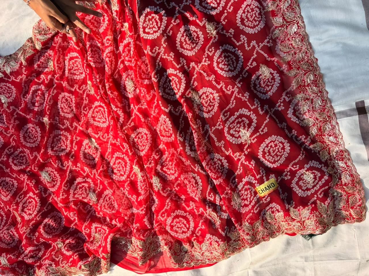 Bandej Saree 4